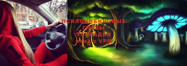 mdpv Карпинск